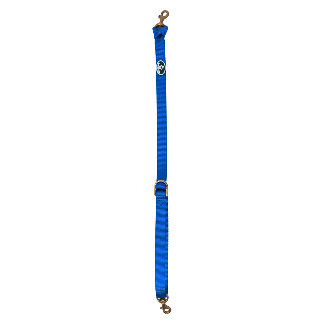 Blue Nylon Tie Down Strap