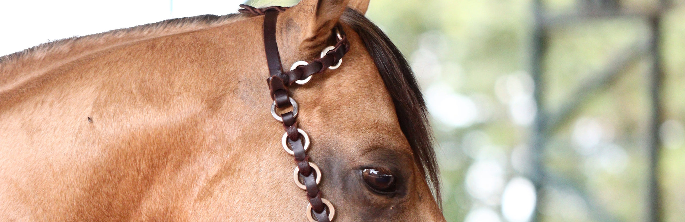 Head Stalls
