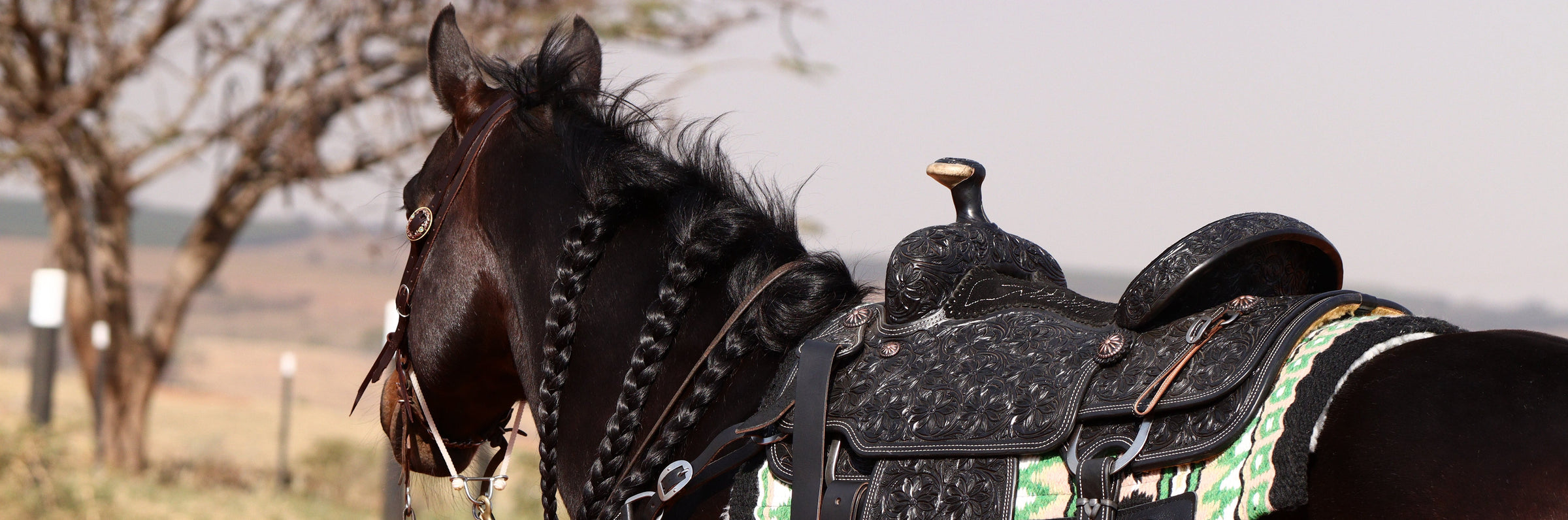 In Stock Saddles